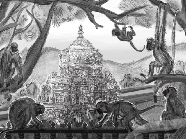 A grayscale illustration showing several monkeys perched on and swinging from tree branches in the foreground, with an intricately detailed South Indian temple in the background. The temple is surrounded by hills, and the scene evokes a sense of cultural and environmental richness.