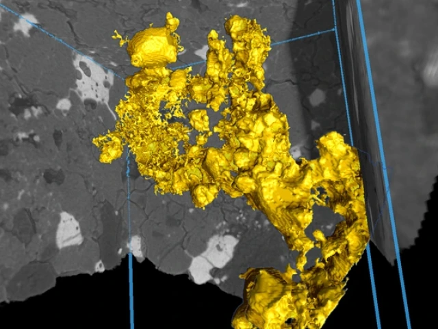 Resembling a raw gold vein, a molten sulfide network is revealed percolating between grey rock in this microscopic image